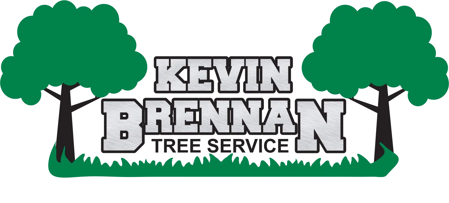Kevin Brennan New Logo
